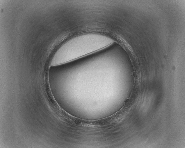 X0000082750635200701261056