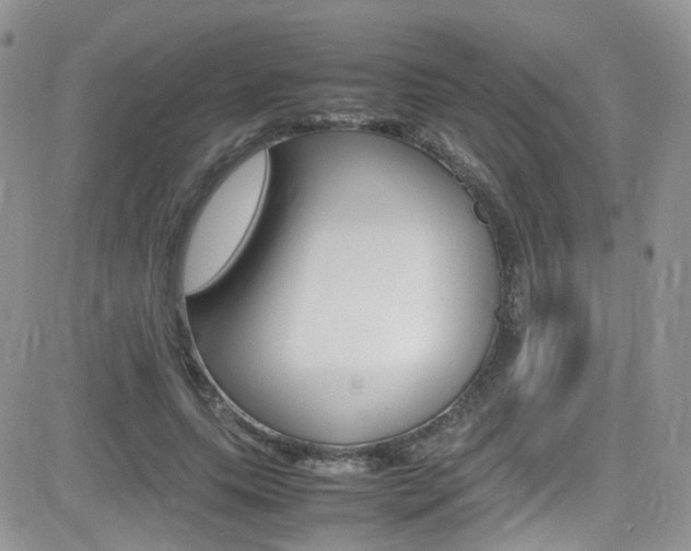 X0000082750639200701261057