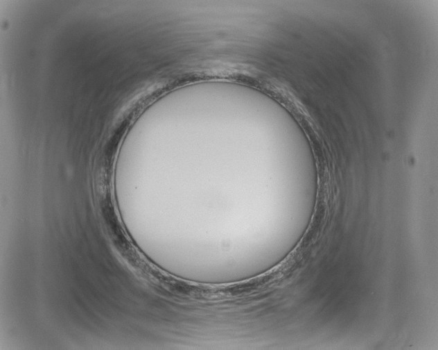 X0000082750683200701261056