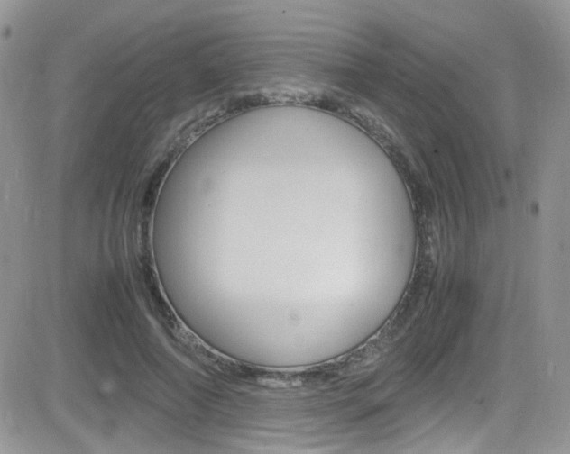 X0000082750690200701261056