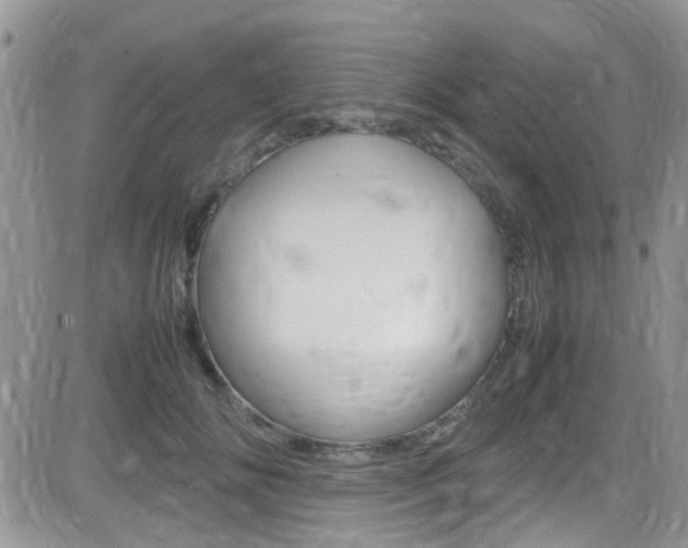 X0000082750702200701261056