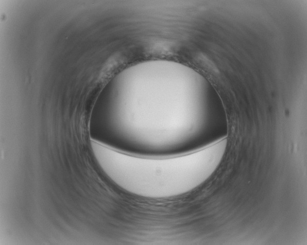 X0000082750708200701261056