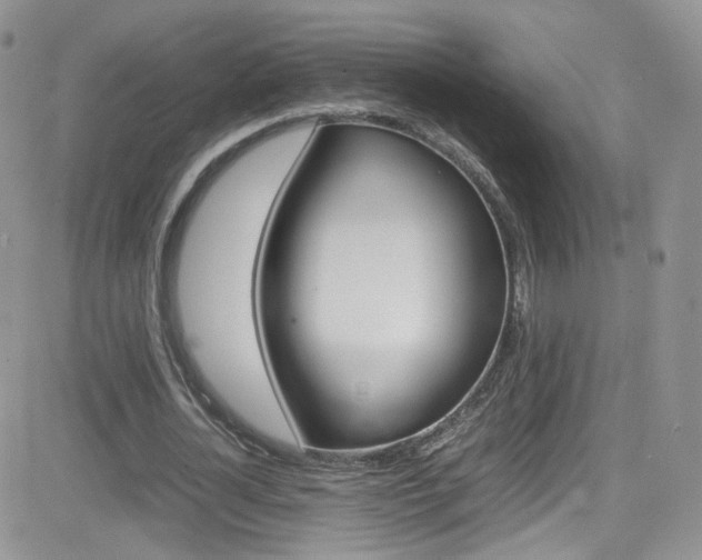 X0000082750724200701261055