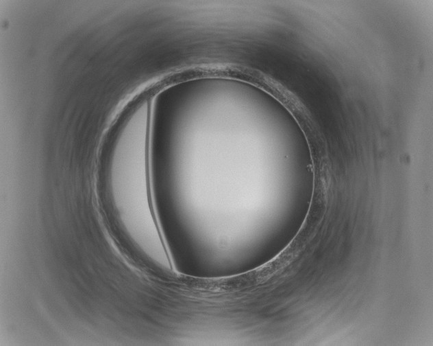 X0000082750728200701261055