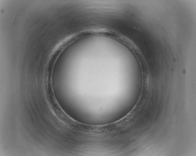 X0000082750732200701261055