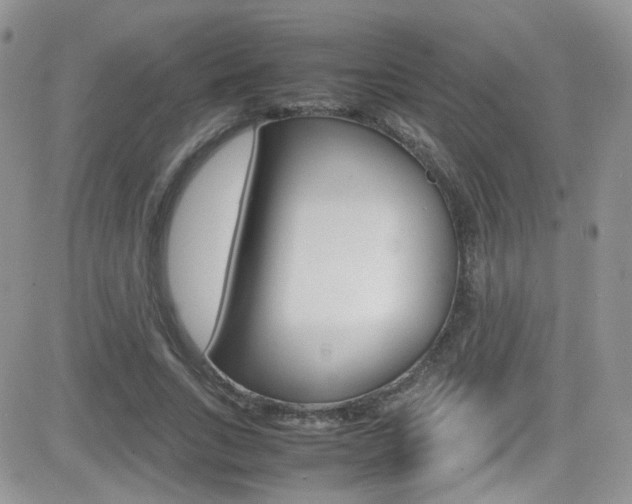 X0000082750735200701261055