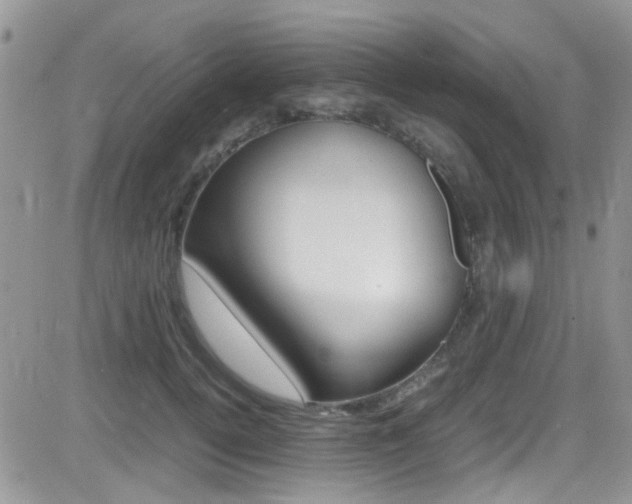 X0000082750752200701261055