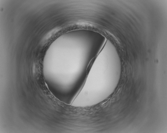 X0000082750776200701261055