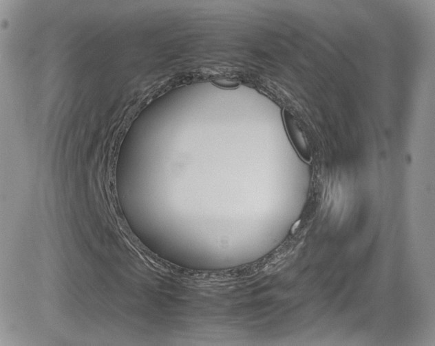 X0000082750817200701261053