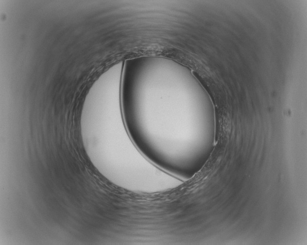 X0000082750818200701261053