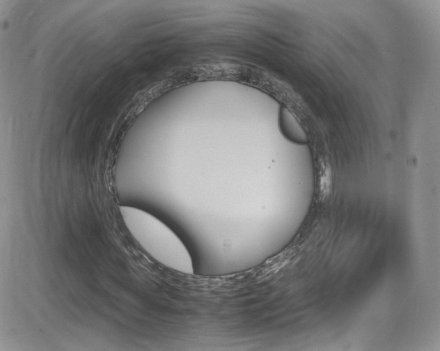 X0000082750819200701261053