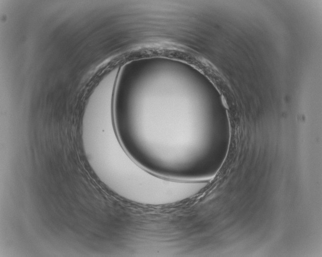X0000082750822200701261053