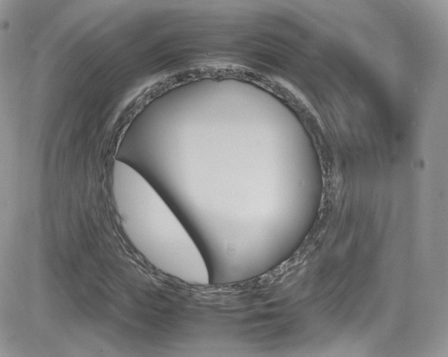 X0000082750823200701261053