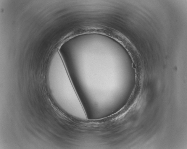 X0000082750825200701261053