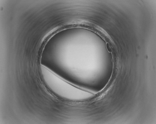 X0000082750826200701261053