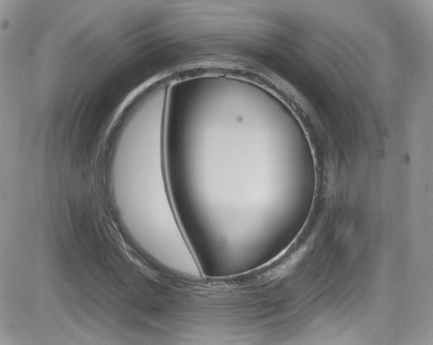 X0000082750830200701261053