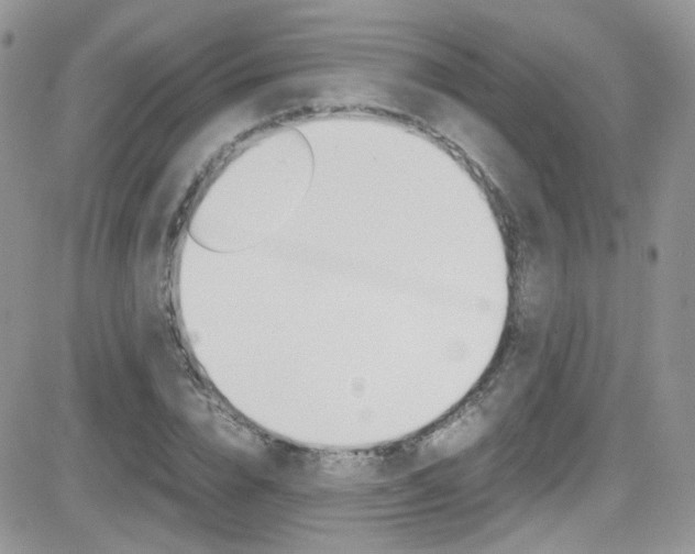 X0000082750832200701261053
