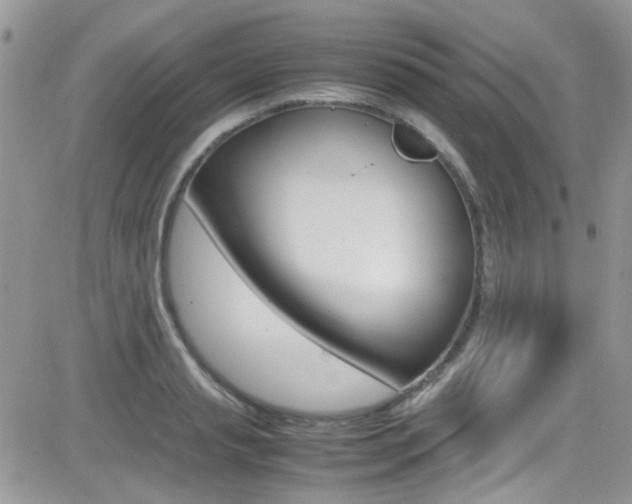 X0000082750845200701261054