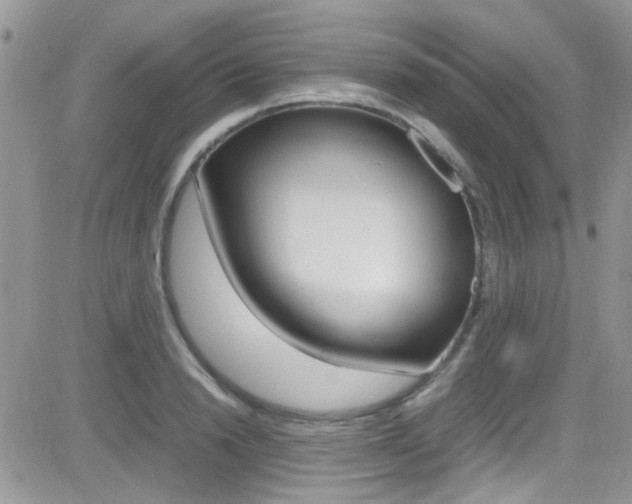 X0000082750846200701261054