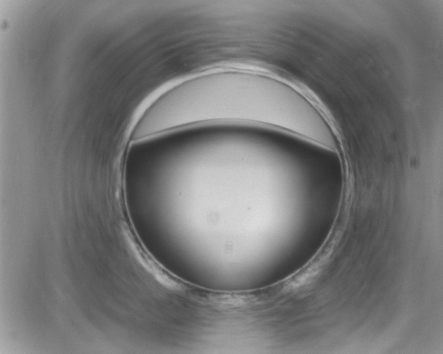 X0000082750862200701261054