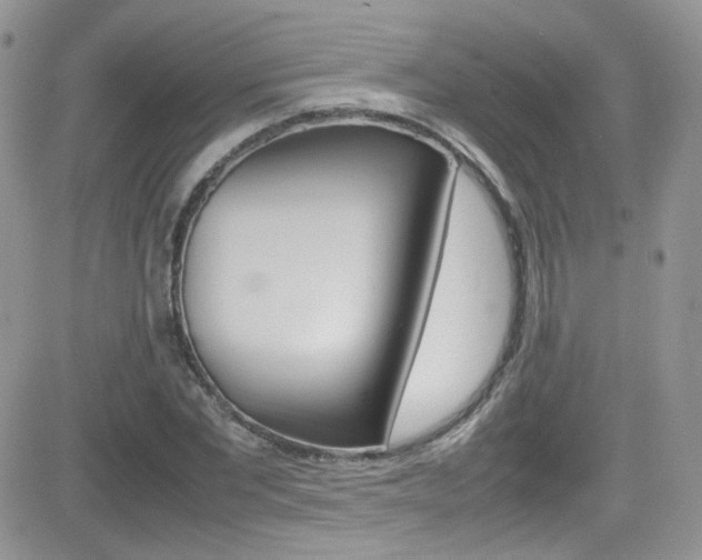 X0000082750877200701261053