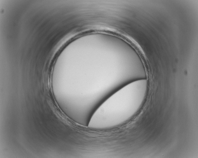 X0000082750887200701261053