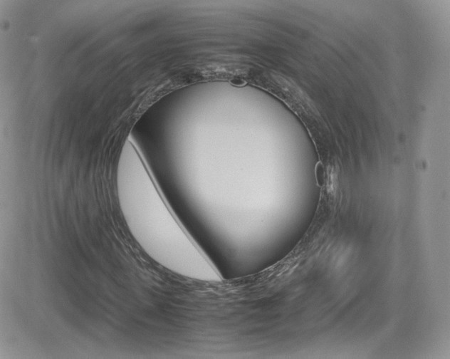 X0000082750915200701261052