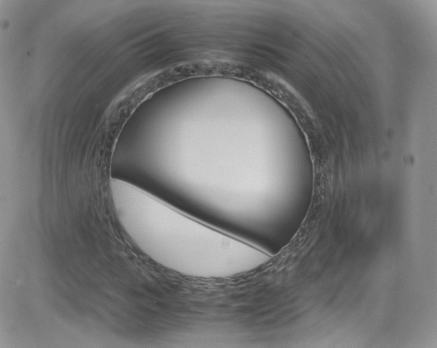 X0000082750919200701261052
