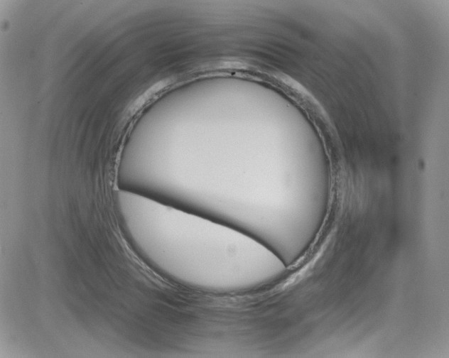X0000082750929200701261052