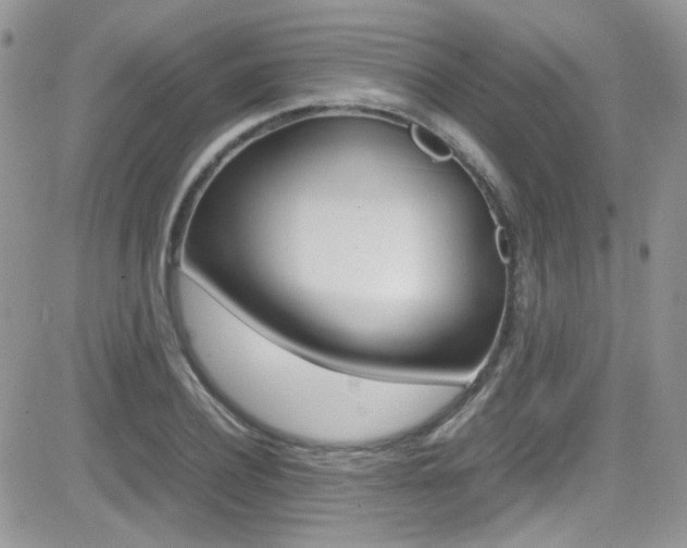 X0000082750932200701261052