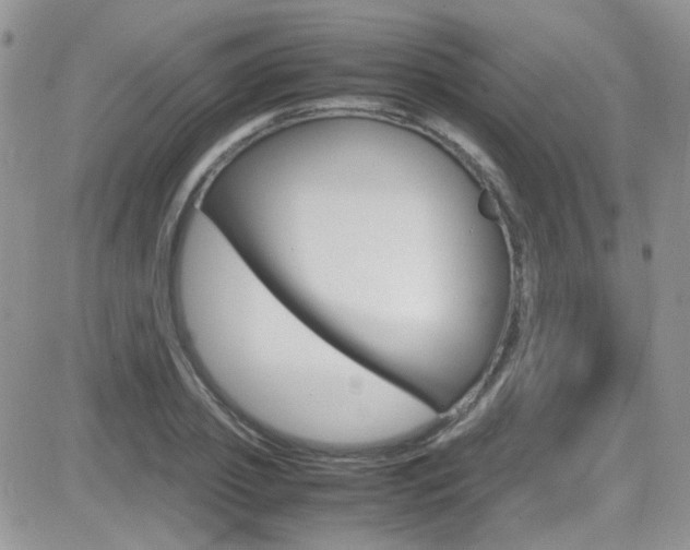 X0000082750933200701261052
