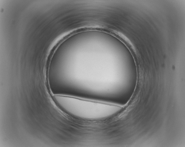 X0000082750935200701261052