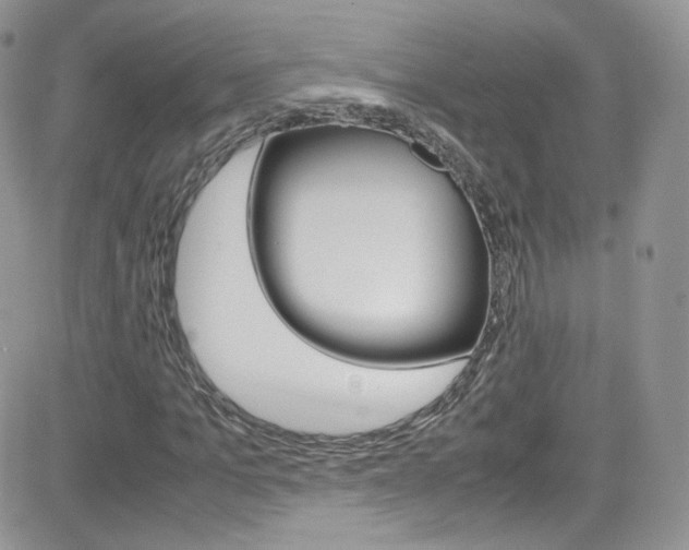 X0000082750965200701261052