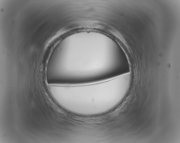X0000082750971200701261051