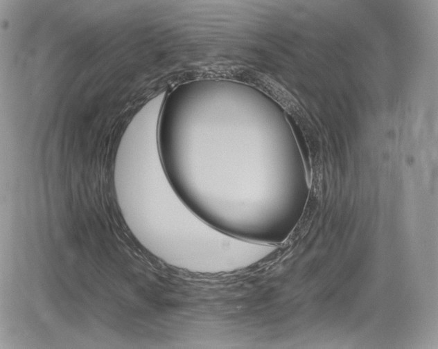 X0000082751010200701261050