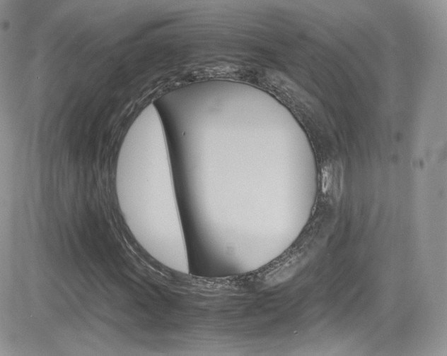 X0000082751011200701261050