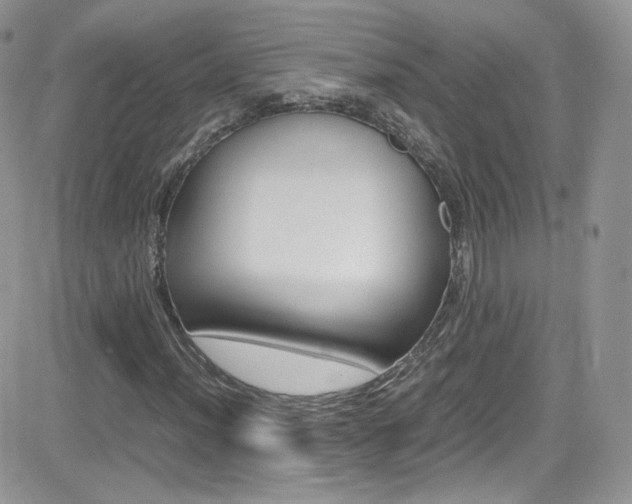 X0000082751012200701261050