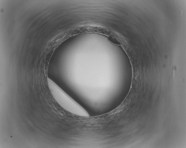 X0000082751014200701261050