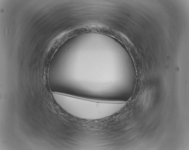 X0000082751016200701261050