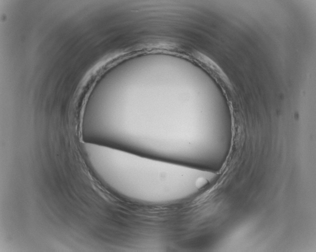 X0000082751027200701261050