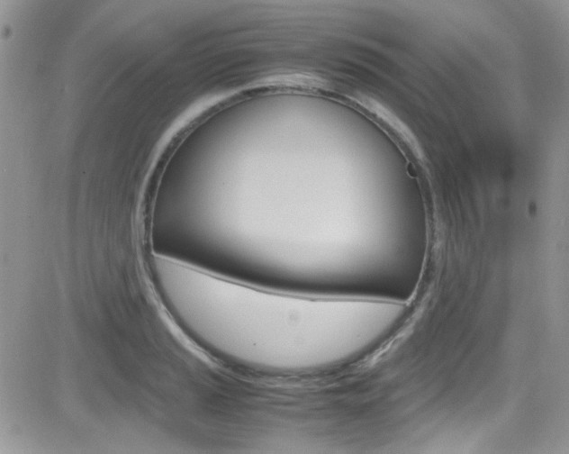 X0000082751037200701261050