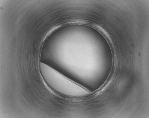 X0000082751041200701261051