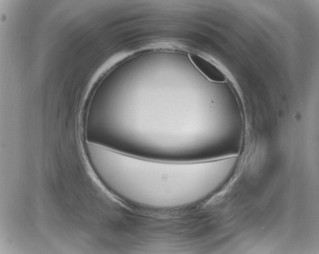 X0000082751045200701261051