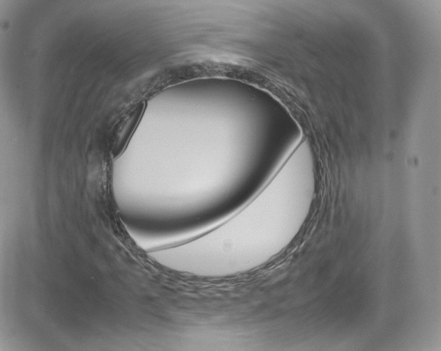 X0000082751061200701261050
