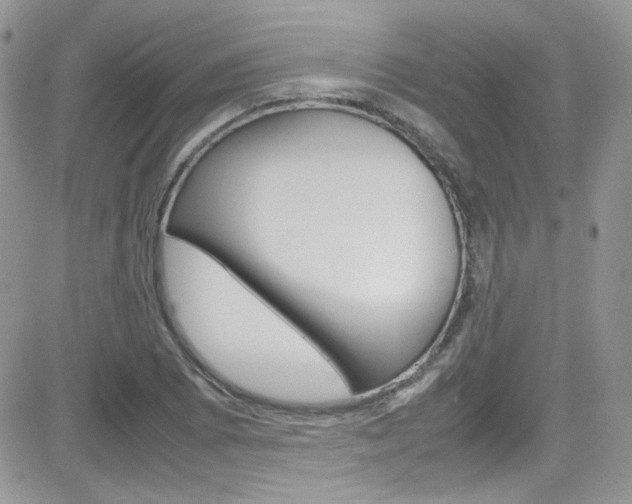 X0000082751073200701261050