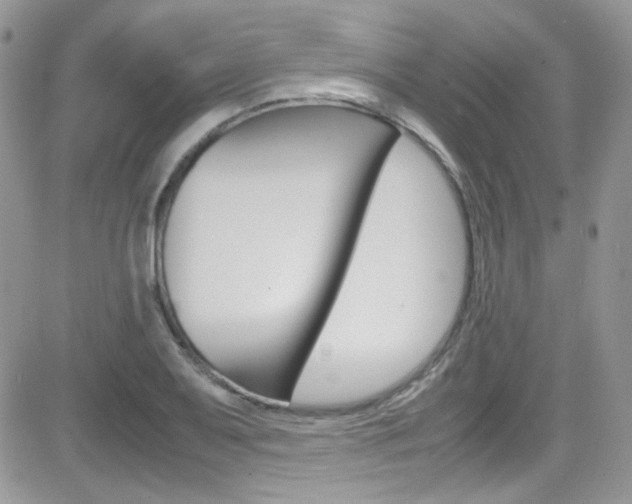 X0000082751079200701261050