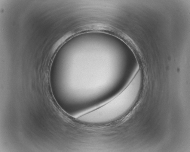 X0000082751081200701261050