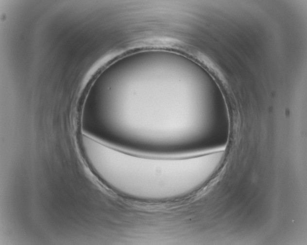 X0000082751085200701261050