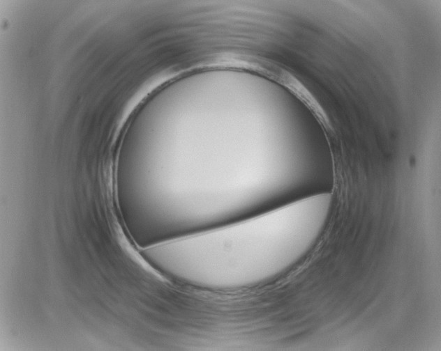 X0000082751092200701261049