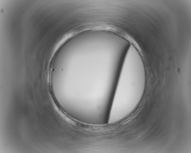 X0000082751095200701261049
